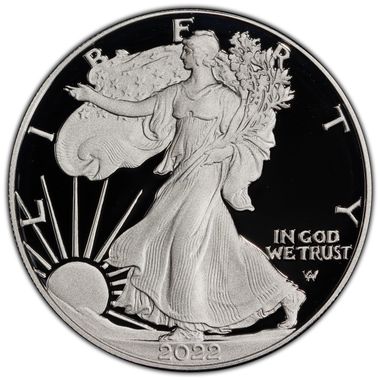 Cert 45502777 - Coin Image