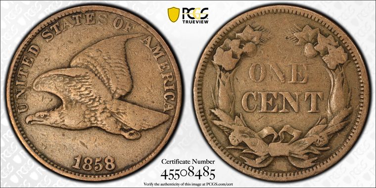 Cert 45508485 - Coin Image