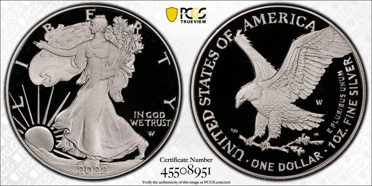 Cert 45508951 - Coin Image