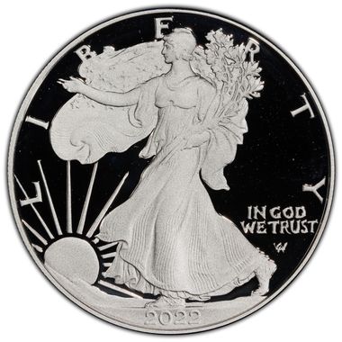 Cert 45511504 - Coin Image