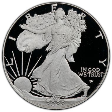 Cert 45519369 - Coin Image