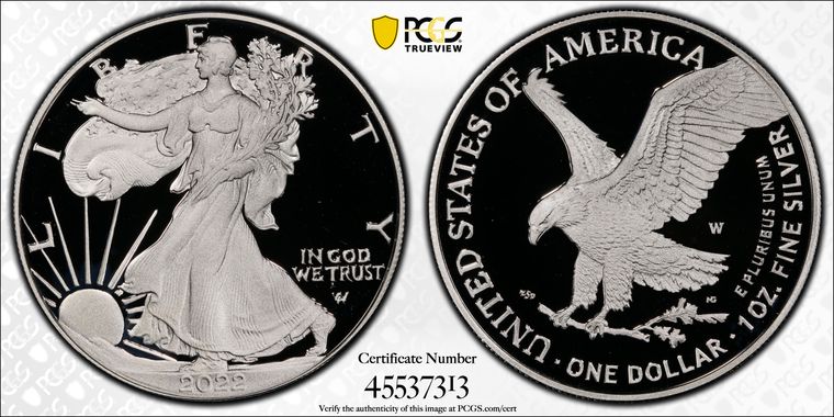 Cert 45537313 - Coin Image