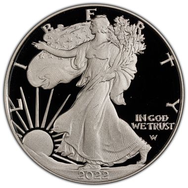 Cert 45540435 - Coin Image