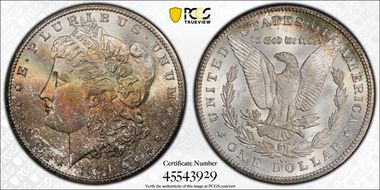 1884-CC $1 MS66+