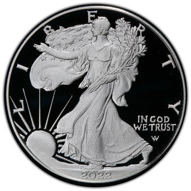 Cert 45550510 - Coin Image