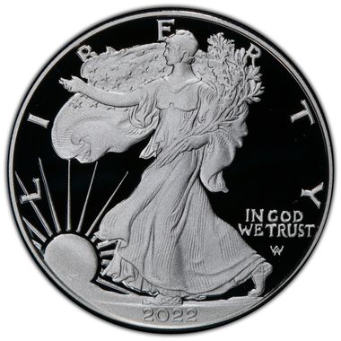 Cert 45550512 - Coin Image