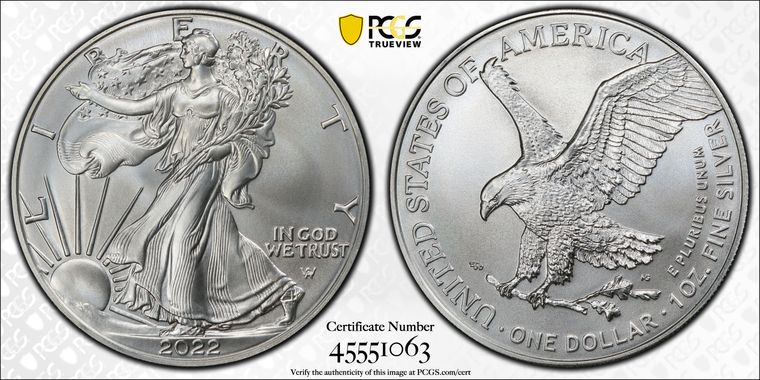 Cert 45551063 - Coin Image