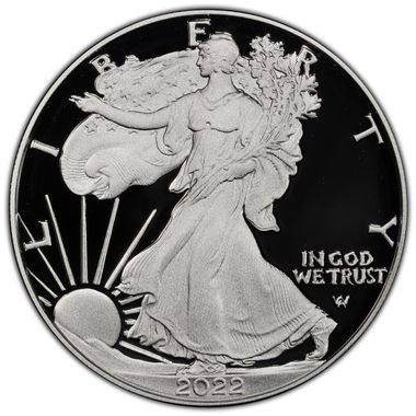 Cert 45551155 - Coin Image