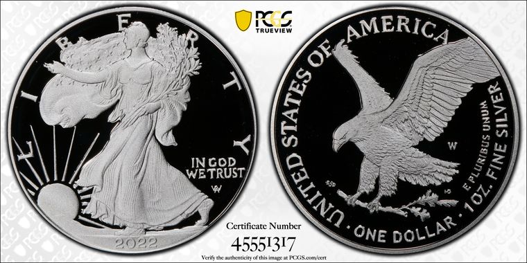 Cert 45551317 - Coin Image