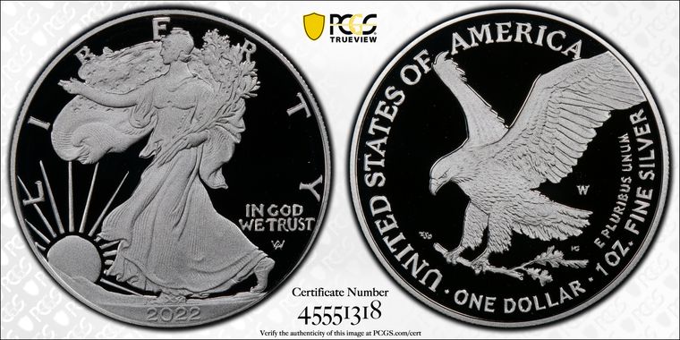 Cert 45551318 - Coin Image