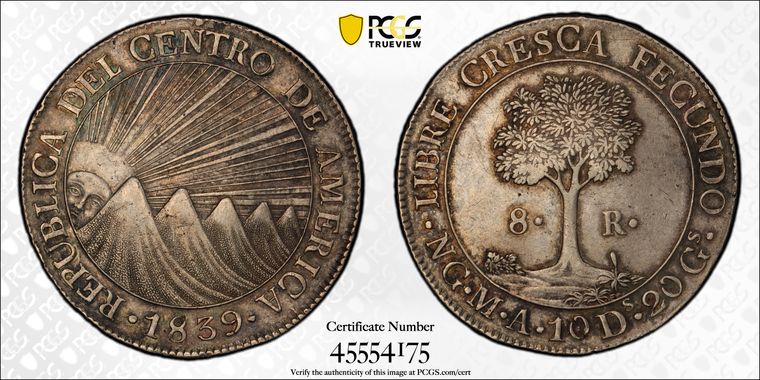 Cert 45554175 - Coin Image
