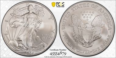 2006-W $1 Burnished Silver Eagle 20th Anniversary SP69