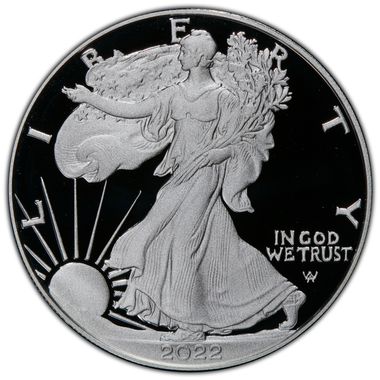 Cert 45558735 - Coin Image