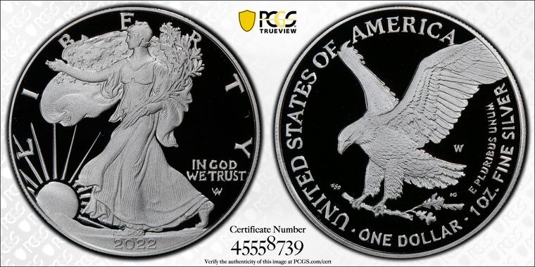 Cert 45558739 - Coin Image