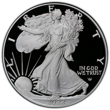 Cert 45558955 - Coin Image