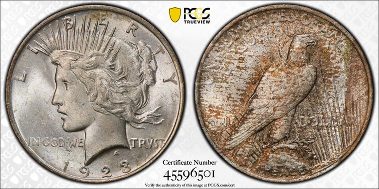 Cert 45596501 - Coin Image