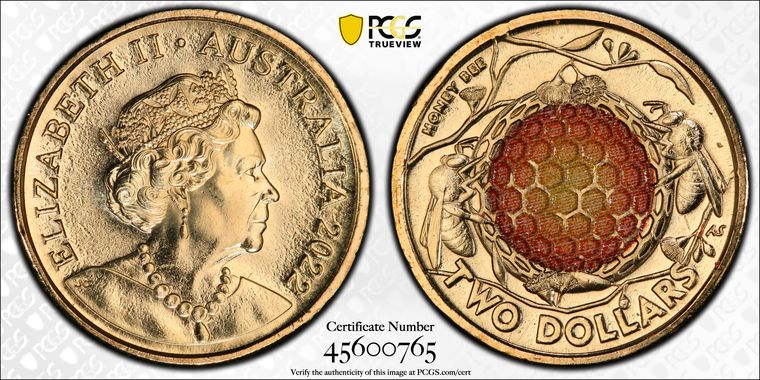 Cert 45600765 - Coin Image