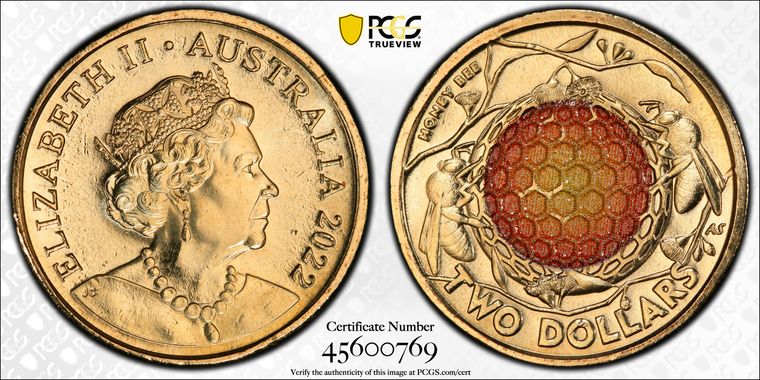 Cert 45600769 - Coin Image