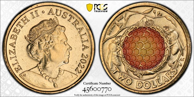 Cert 45600770 - Coin Image