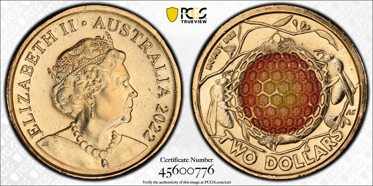 Cert 45600776 - Coin Image