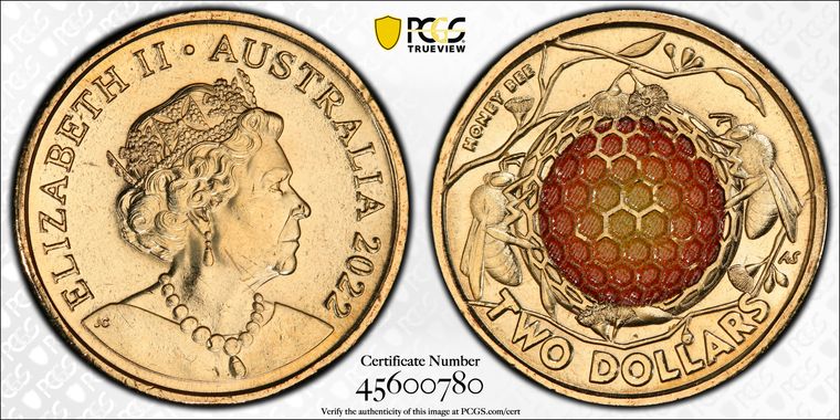 Cert 45600780 - Coin Image