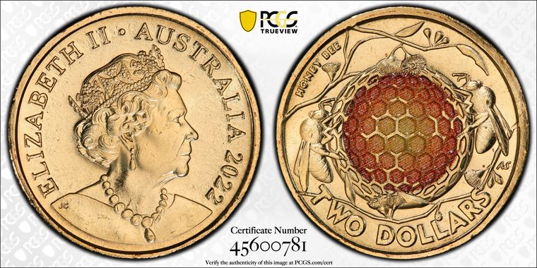 Cert 45600781 - Coin Image