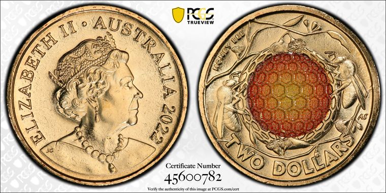 Cert 45600782 - Coin Image