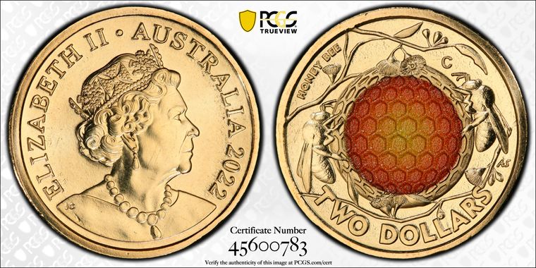 Cert 45600783 - Coin Image