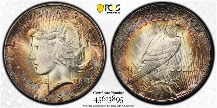 Cert 45613895 - Coin Image