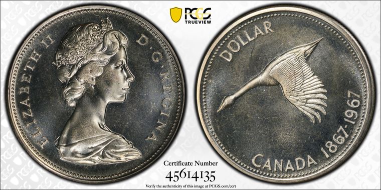 Cert 45614135 - Coin Image