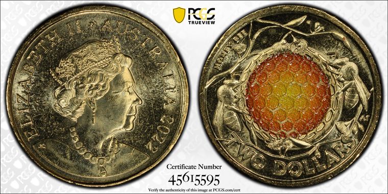 Cert 45615595 - Coin Image