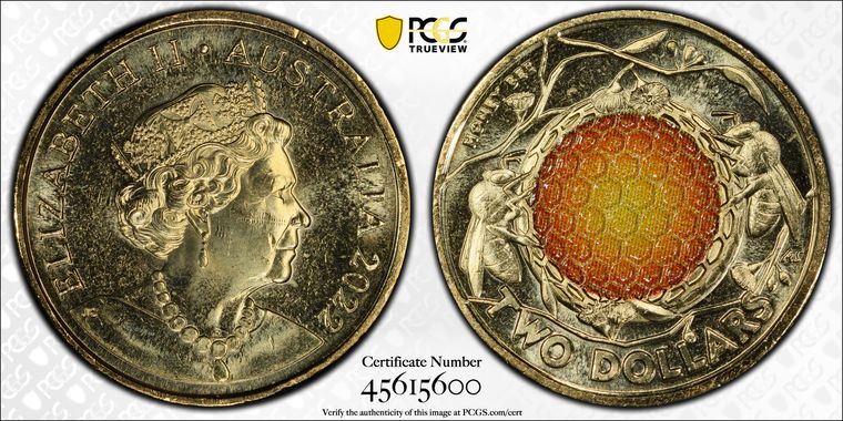 Cert 45615600 - Coin Image