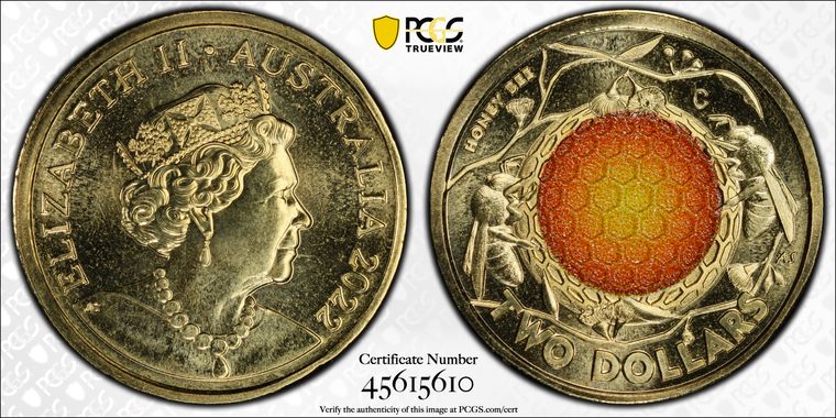 Cert 45615610 - Coin Image