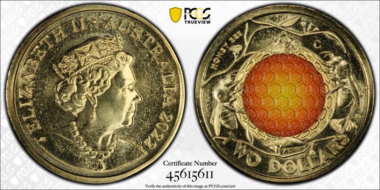 Cert 45615611 - Coin Image