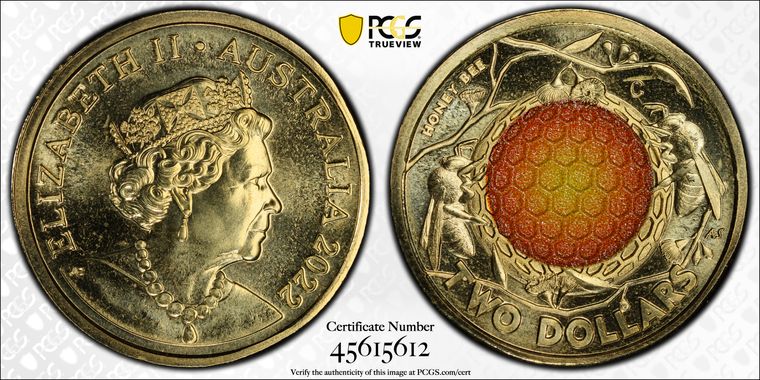 Cert 45615612 - Coin Image