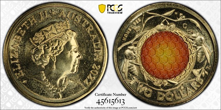 Cert 45615613 - Coin Image