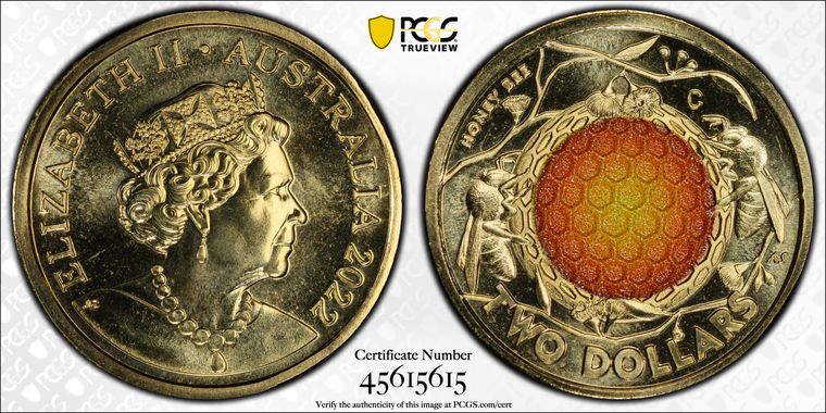 Cert 45615615 - Coin Image