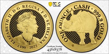 2022 £100 Rhino, Cash India Wildlife MS70