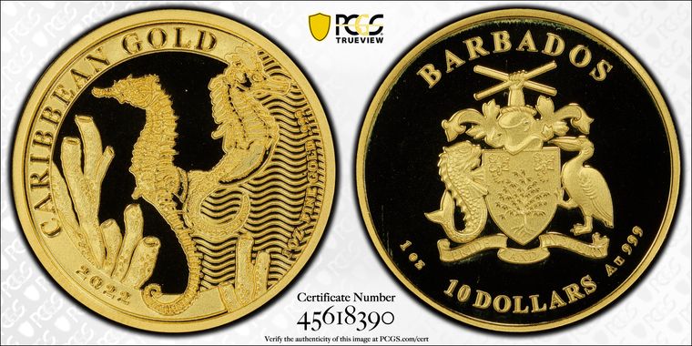 Cert 45618390 - Coin Image