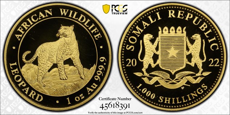 Cert 45618391 - Coin Image