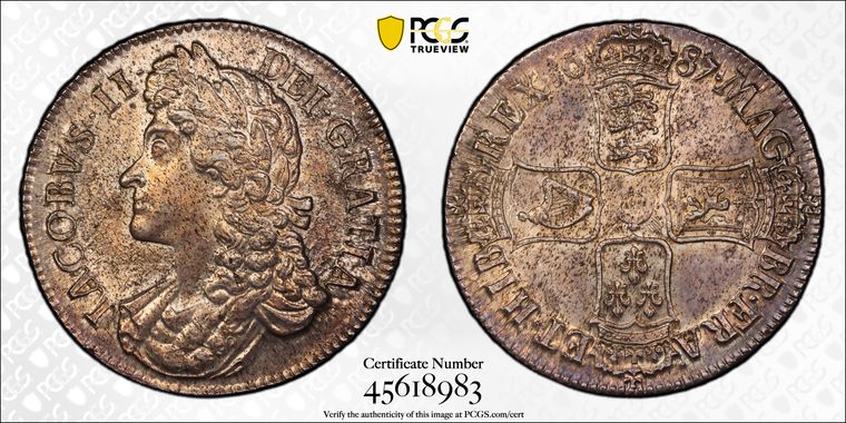 Cert 45618983 - Coin Image