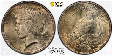 1924 $1 VAM 1H Extra Hair MS63