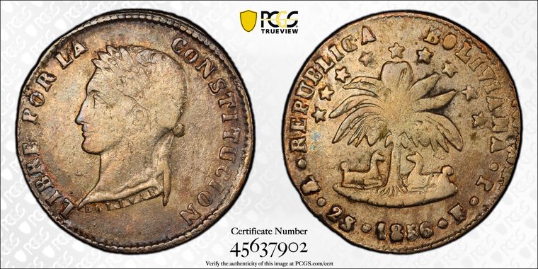 Cert 45637902 - Coin Image