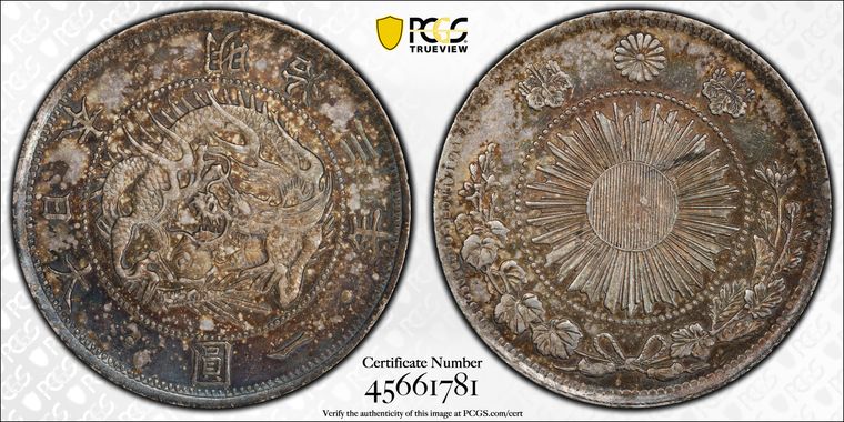 Cert 45661781 - Coin Image