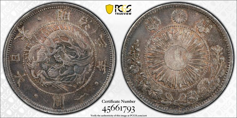 Cert 45661793 - Coin Image