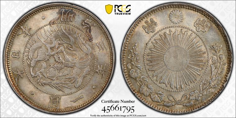 Cert 45661795 - Coin Image