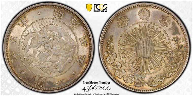 Cert 45661800 - Coin Image