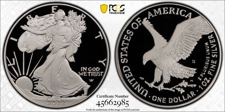 Cert 45662985 - Coin Image