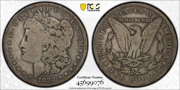 Cert 45699076 - Coin Image