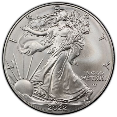 Cert 45753538 - Coin Image